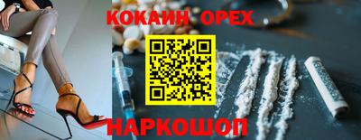 дмт Аргун