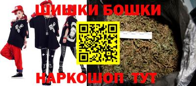 дмт Аргун