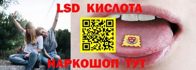 дмт Аргун