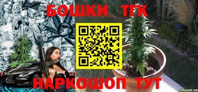 дмт Аргун