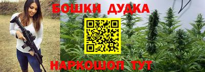 дмт Аргун