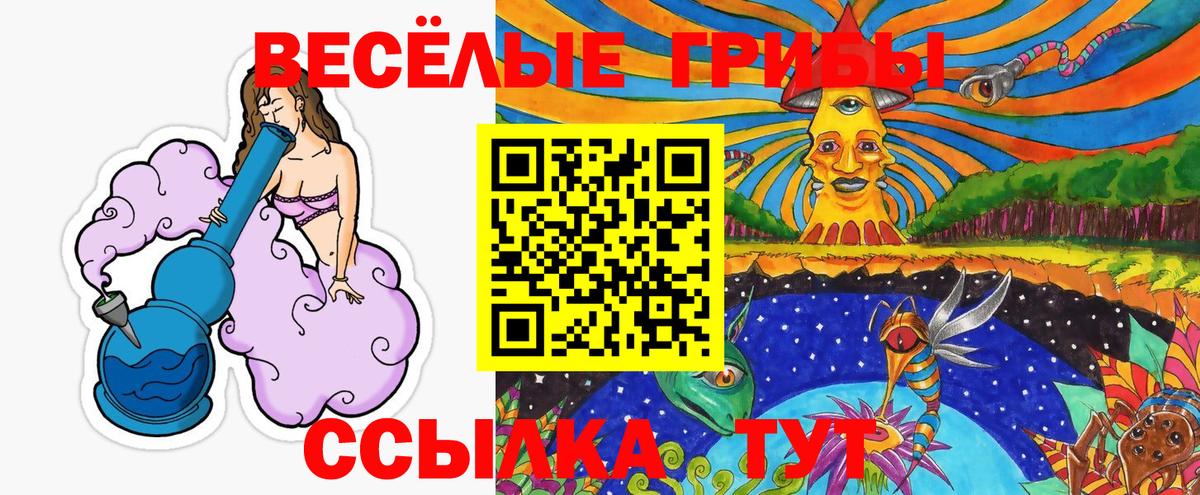 Галлюциногенные грибы Psilocybine cubensis Бузулук