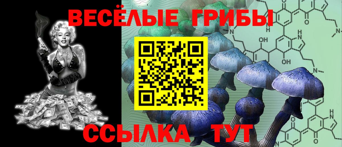 Бузулук  Псилоцибиновые грибы мухоморы  Галлюциногенные грибы ЛСД  купить закладку  Вход с VPN 